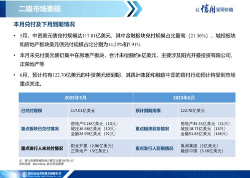 中資美元債市場信息月報（2023年5月） 一級市場發行繼續低迷，二級市場表現保持分化